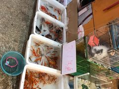 -双季花艺园艺市场(浦东店)