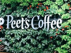 -Peet's Coffee皮爷咖啡(上海长风大悦城店)