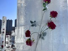 -长春市南湖公园