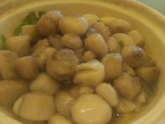 -复旦大学本部-食堂