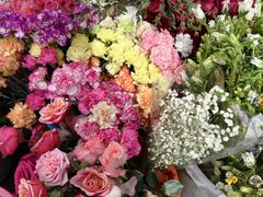 -循礼门鲜花花市(武汉循礼门店)