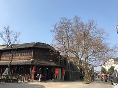 -志龙皇冠吃货椰子铺