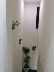 -苗方清颜专业祛痘·皮肤管理