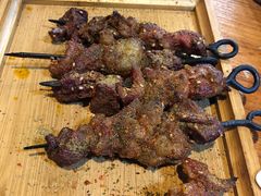 -宝山一号馕坑肉
