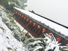 -阮氏酒家(柯桥店)