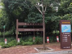 -官港森林公园