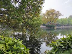 -星巴克(西湖天地店)