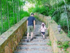 -素山寺森林公园