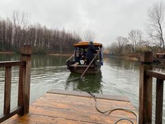 -溱湖国家湿地公园