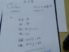 -雨林宠物医院 非犬猫异宠专科