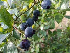 -千龙湖生态旅游度假区