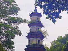 -合江楼