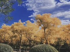 -永定河休闲森林公园