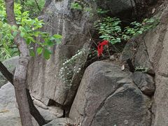-天津盘山风景名胜区