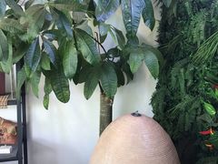 -宫七SPA·高端Massage(浦东大道店)