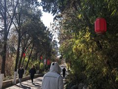 -云龙山