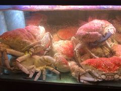 -金唐海鲜酒家