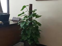 -厦门日月谷温泉渡假村