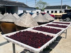 -苏州市吴中区光福窑上花果蜜饯厂