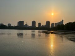 -莲花池公园