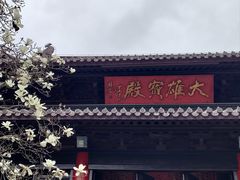 -灵谷景区