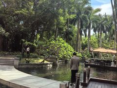 -Waterfall瀑布湾优健源(华侨城店)