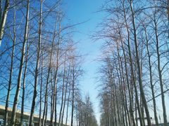 -蓟县盘山滑雪场