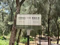 -大京沙滩
