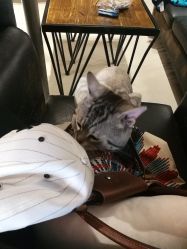 -幸运7纹身刺青Lucky7tattoo