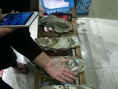 -蚝专家(北滘店)