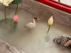 -禧鳳記·猪肚鸡火锅(玖洲道店)