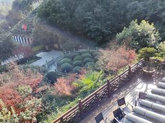 -十八棵（老龙井）御茶园(老龙井店)
