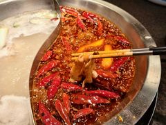 -山城棒棒军手作火锅·天花板手撕水牛鲜毛肚(北京店)