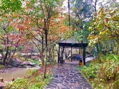 -夏霖九天银瀑风景区
