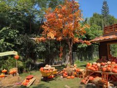 -HERRE·FARM 赫尔露营农场·团建聚会包场