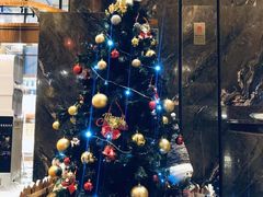 -长沙富力万达文华酒店