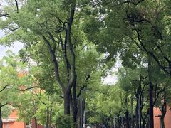 -四川大学(望江校区)