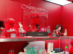 -ROSEONLY诺誓(广州K11店)