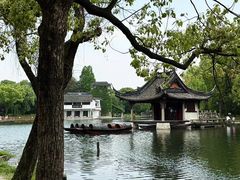 -鲁镇