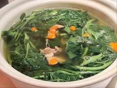 原汁原味西洋菜-煲煲好(朝阳门店)