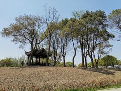 -韩湘水博园