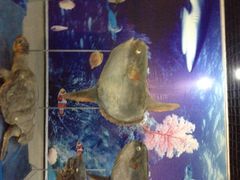 iphone_upload_pic-武汉华夏国际影城(鲁广店)