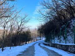 -阳台山自然风景区