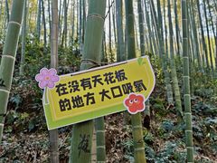 -东明山森林公园