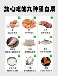 -Fundi张玉珊修身堂·indiba·BTL科技瘦身
