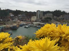iphone_upload_pic-河源万绿湖美思威尔顿酒店