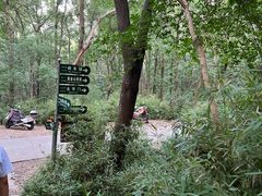 -紫金山山顶公园