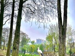 -武汉动物园