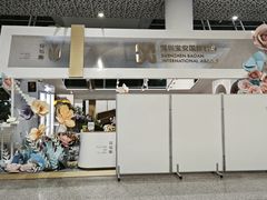 -深圳宝安国际机场