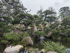 -罗红摄影艺术馆